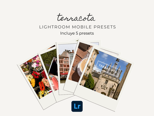Preset Lightroom Mobile - Terracota